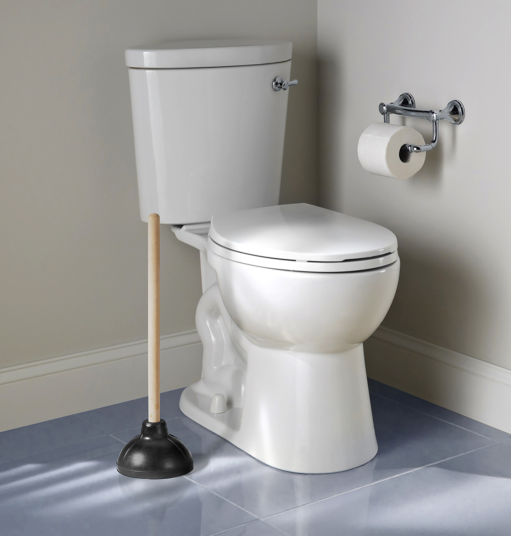5 Most Common Toilet Issues | Insights from Your Trusted Richmond, VA Plumber